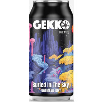 Gekko Brewing Company Buried In The Sky