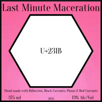 The Attic Meadery Last Minute Maceration