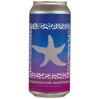 Shapes & Objects Beer Co Triangulum Australe