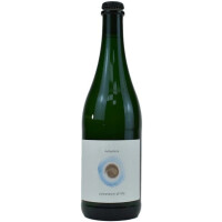 Métaphore Artisanal Beers Colosseum of Life