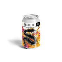 La Source Beer Co. Anguille - V6