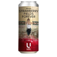U And I Brewing Strawberry Fields Forever