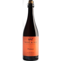 Trial & Ale Brewing Pitahaya