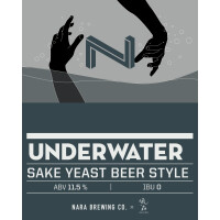 Nara Brewing Company Underwater