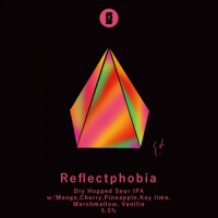 Totopia Brewery Reflectphobia