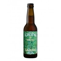 Cerveza Caleya Fractal Gamma