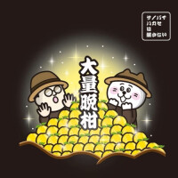 Amakusa Sonar Beer Tairyo Bankan