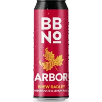 Arbor Ales Brew Radley