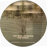 Brinkburn Street Brewery The Mist Between The Pines