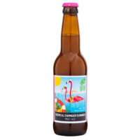 HopTop Brewery Tropical Swinger Summer