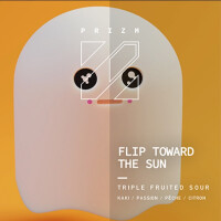 Prizm Brewing Flip Toward the Sun