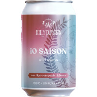 Jolly Pumpkin Artisan Ales iO Saison