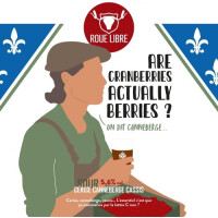 Brasserie Roue Libre Are Cranberries Actually Berries?