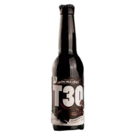 Reczer Ser T30