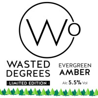 Wasted Degrees Brewing Evergreen Amber