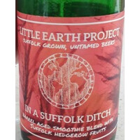 Little Earth Project In A Suffolk Ditch