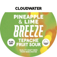 Cloudwater Brew Co Pineapple & Lime Breeze