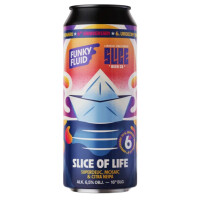 Funky Fluid Slice of Life