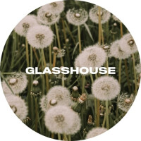Glasshouse Beer Co Dandelion
