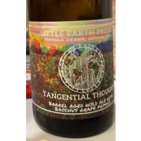 Little Earth Project Tangential Thoughts