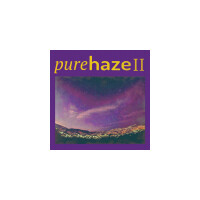 Pondaseta Brewing Company PureHaze II