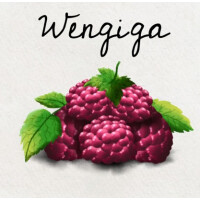 HenkeBier Wengiga