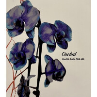 Fidens Brewing Company Orchid