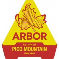 Arbor Ales Pico Mountain