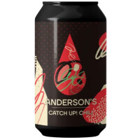Anderson's Catch Up! Chili