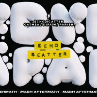 Garage Beer Co Echo Scatter