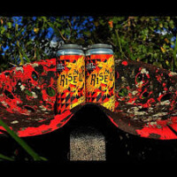 Lost Nation Brewing Rise Up