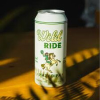 Town Brewery Wild Ride