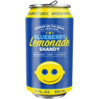 Saugatuck Brewing Company Blueberry Lemonade Shandy