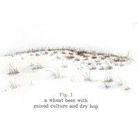 Wunderkammer Biermanufaktur Fig. 1 (Figure One)