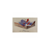 Wunderkammer Biermanufaktur Fig. 3 (Figure Three)