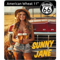 Pivovar 66 Sunny Jane