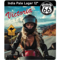 Pivovar 66 Victoria IPL 12%