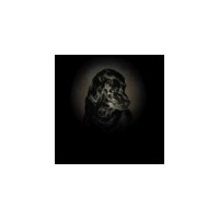 Hill Farmstead Brewery Damon (2020)