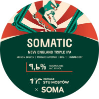 Browar Stu Mostów Somatic