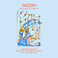 NOZIB Special Brews NEIPA Adventures #17 The Bruce