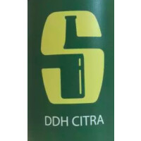 Salikatt Bryggeri DDH Citra