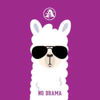 Ascension Brewing Company No Drama