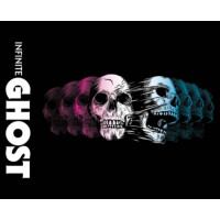 Parish Brewing Company Infinite Ghost
