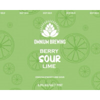Omnium Brewing Berry Sour Lime