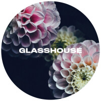 Glasshouse Beer Co Dahlia