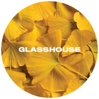 Glasshouse Beer Co Ginkgo