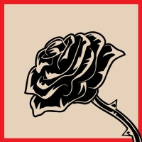 Nova Runda Black Rose (Róisín Dubh)