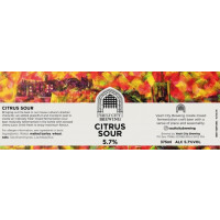 Vault City Citrus Sour