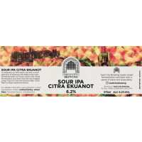 Vault City Sour IPA Citra Ekuanot