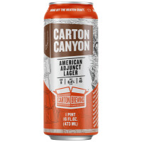 Carton Brewing Canyon